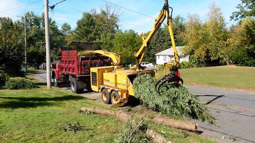 Wood Chipping Columbia MO